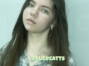 Felicecatts