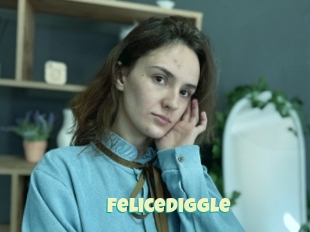 Felicediggle