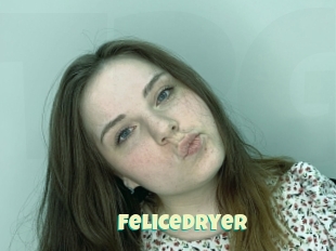 Felicedryer
