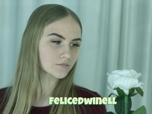 Felicedwinell