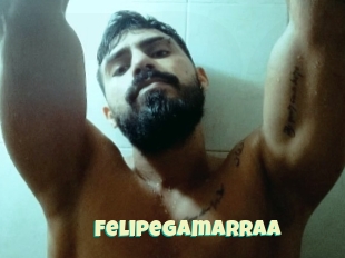 Felipegamarraa