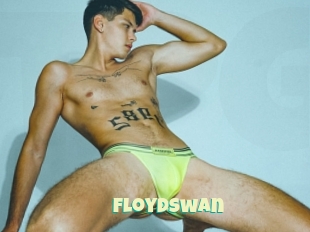 Floydswan
