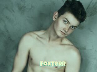 Foxterr