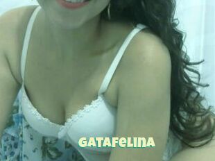 GataFelina