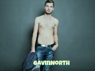 GavinNorth