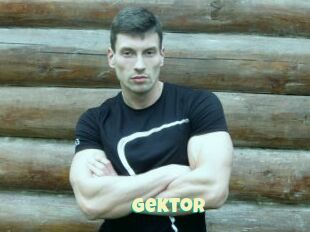 Gektor