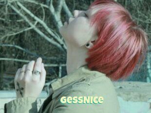 GessNice