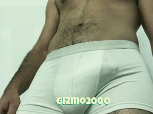 Gizmo2000