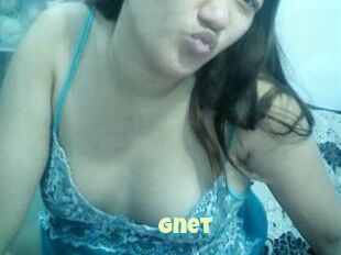 Gnet