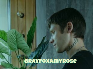 GrayFoxAmyRose