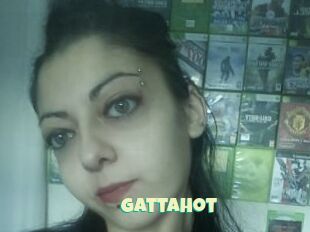 Gattahot