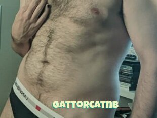 Gattorcatnb