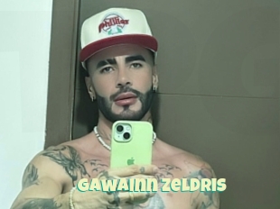 Gawainn_zeldris