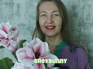 Greybunny