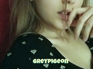 Greypigeon