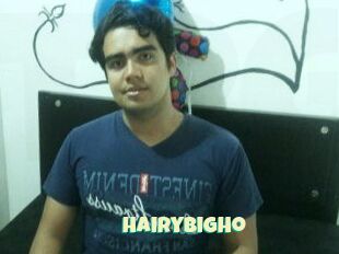 HairybigHo