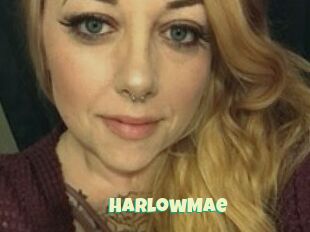 HarlowMae