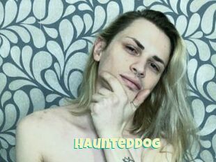 HauntedDog