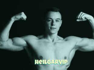 HeilgarVip