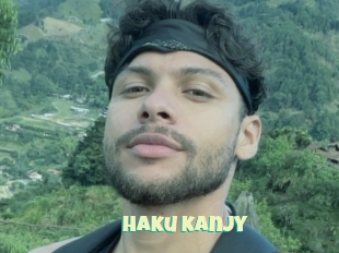 Haku_kanjy