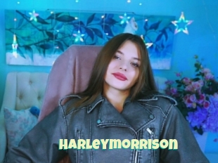 Harleymorrison