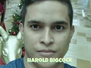 Harold_bigcock