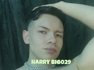 Harry_big029