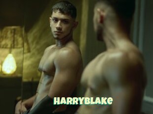Harryblake