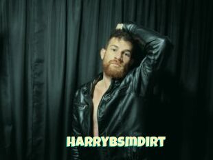 Harrybsmdirt