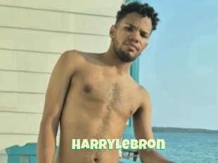 Harrylebron