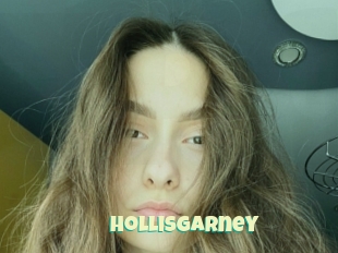 Hollisgarney