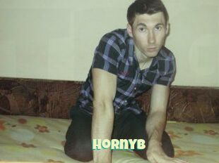 Hornyb