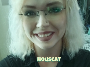 Houscat