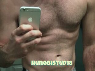 Hungbistud18