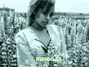 Indigo_22