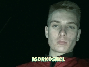 Igorkoshel