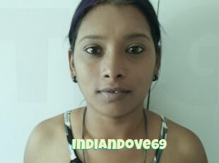 Indiandove69