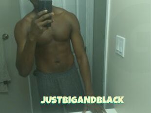 JUSTBIGANDBLACK