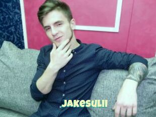 JakeSulii