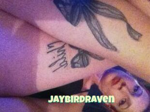JayBirdRaven