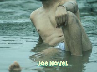 Joe_Novel