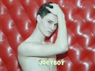 JoeyB0Y