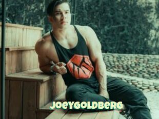 JoeyGoldberg