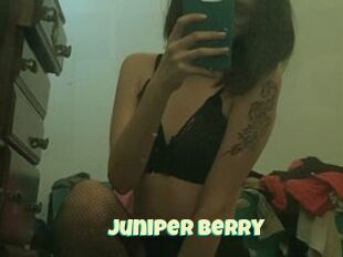 Juniper_Berry