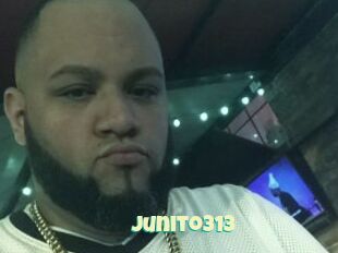 Junito313