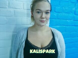KaliSpark