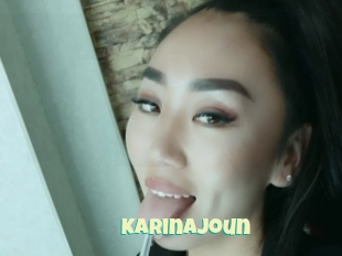 Karinajoun