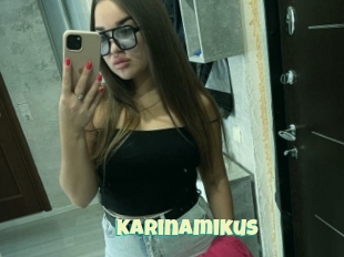 Karinamikus
