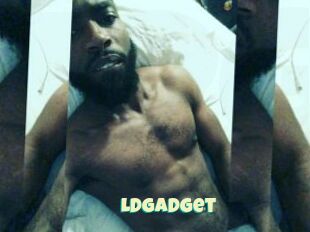 LDgadget