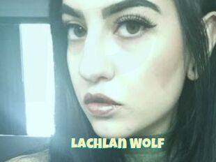 Lachlan_Wolf